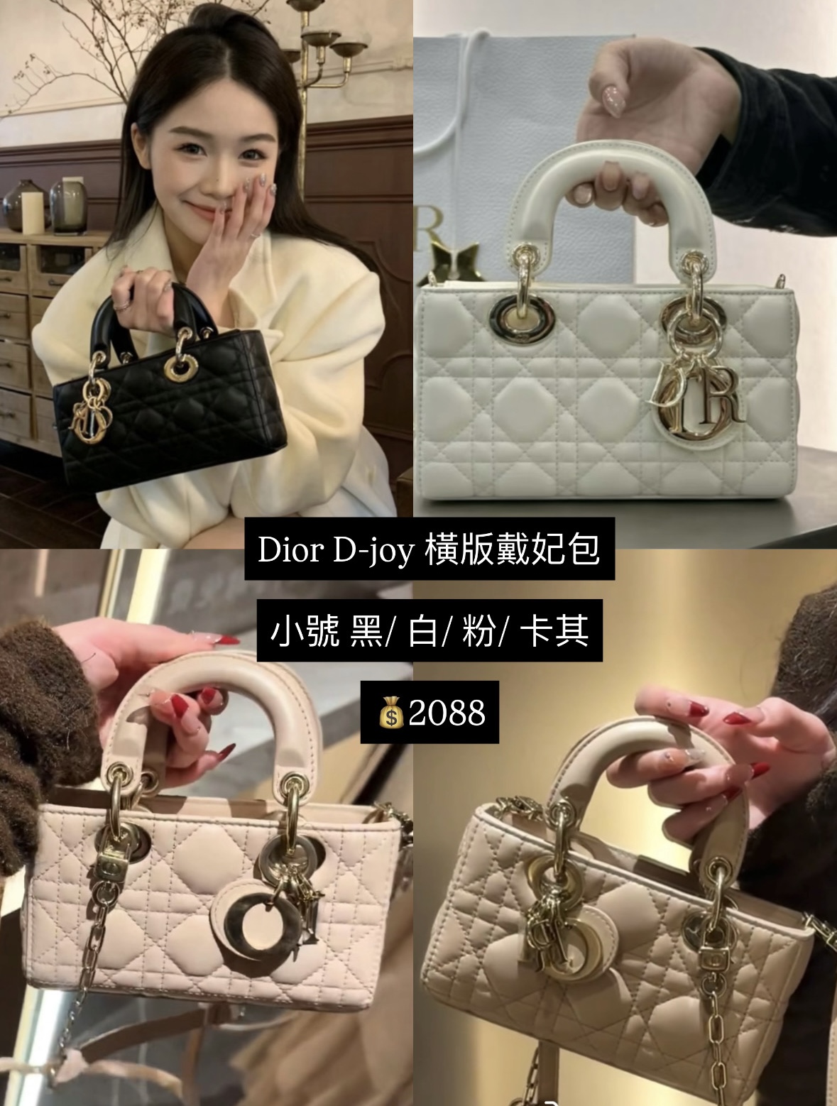 Dior D-joy 橫版戴妃包 小號＄ 2088
