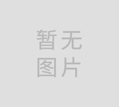 celine mini 馬鞍包 Lisa 同款 HKD1980